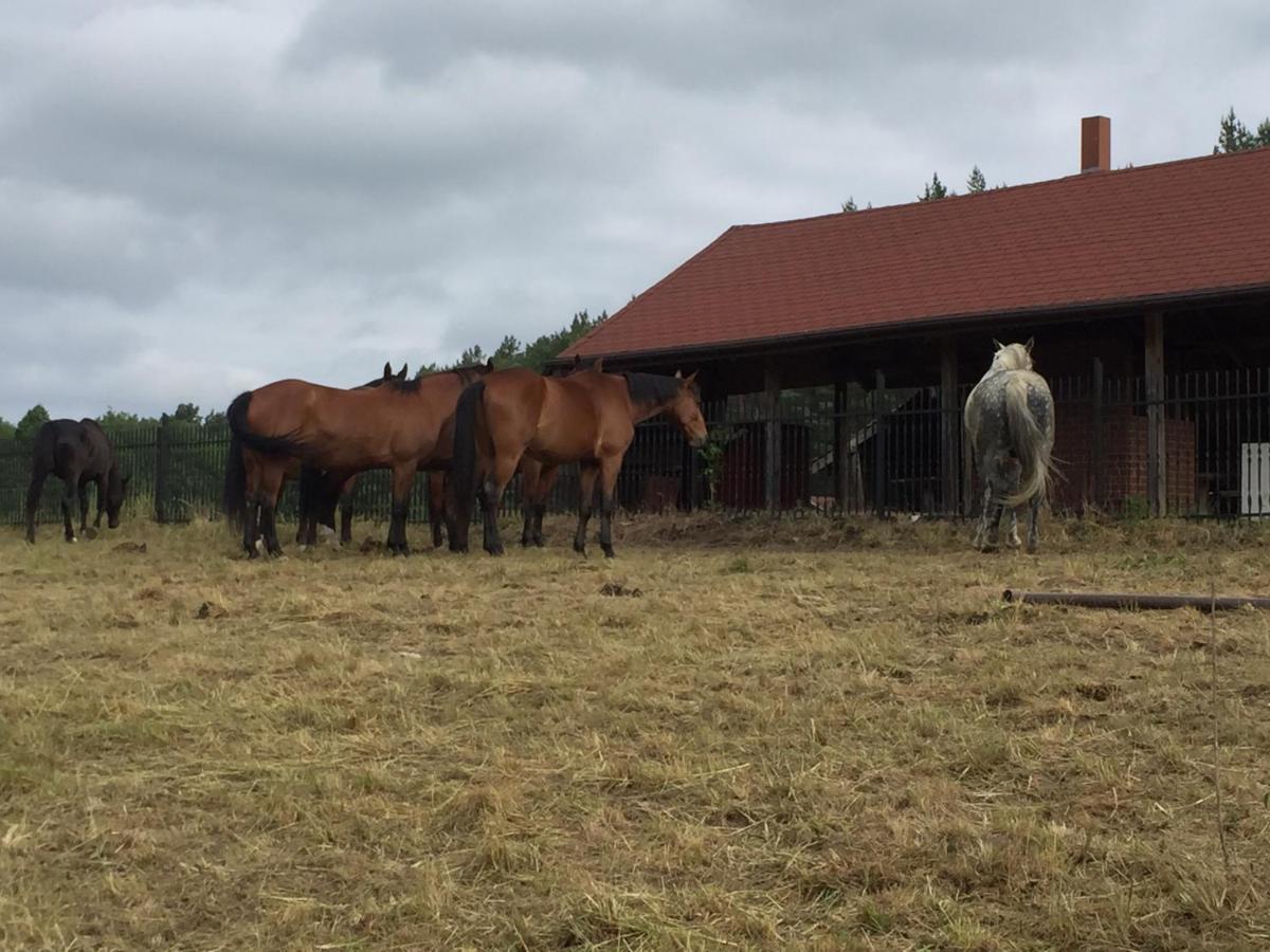 Hotel Camping Leśne Ustronie Witnica Zewnętrze zdjęcie